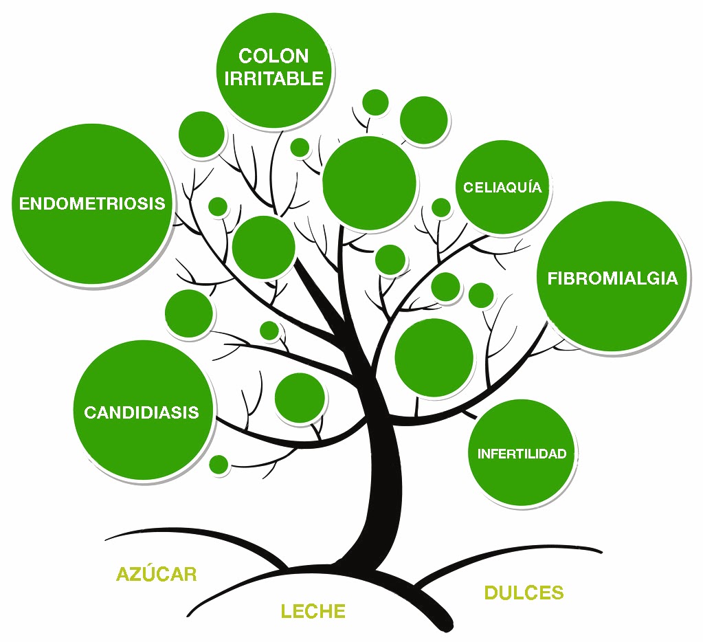 dieta para candidiasis intestinal pdf